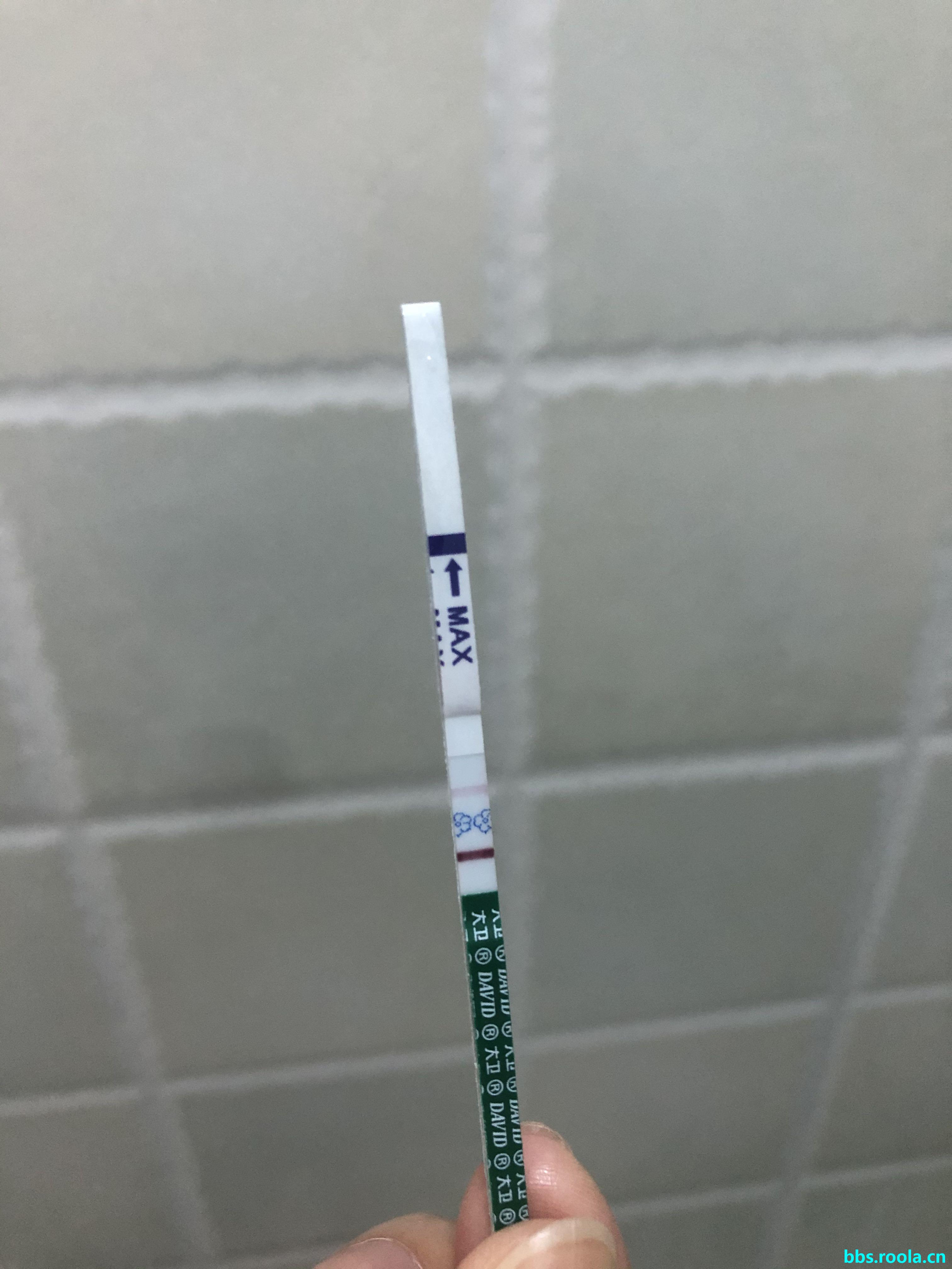 6928.jpg