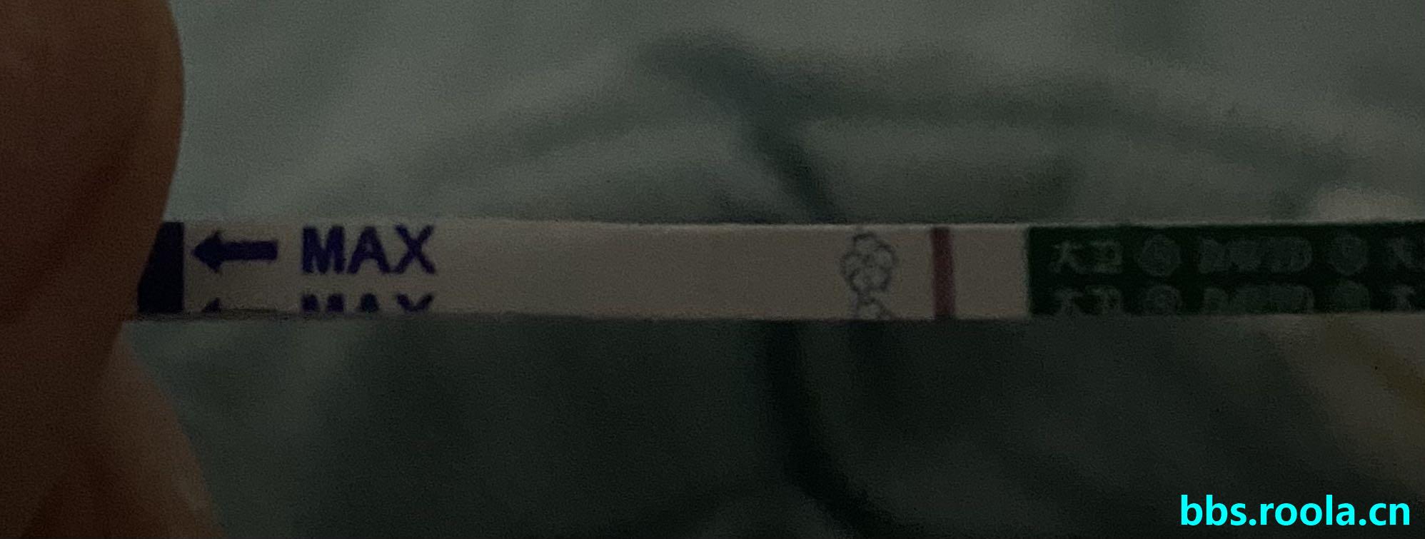 6931.jpg