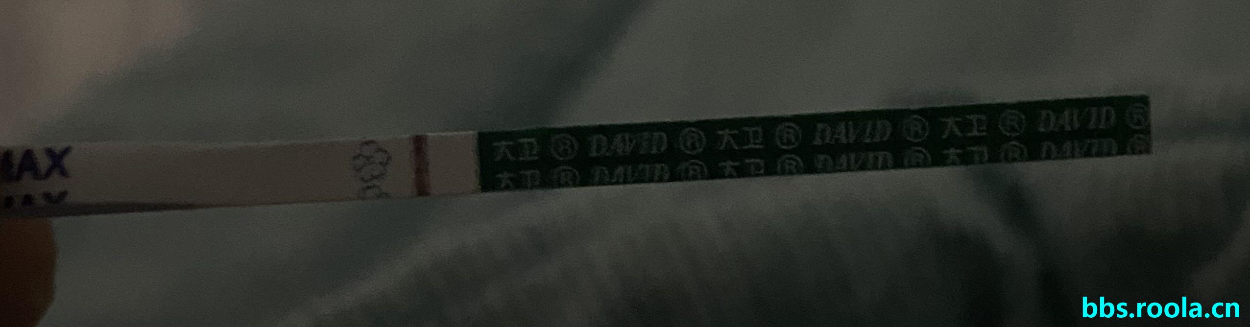 6932.jpg