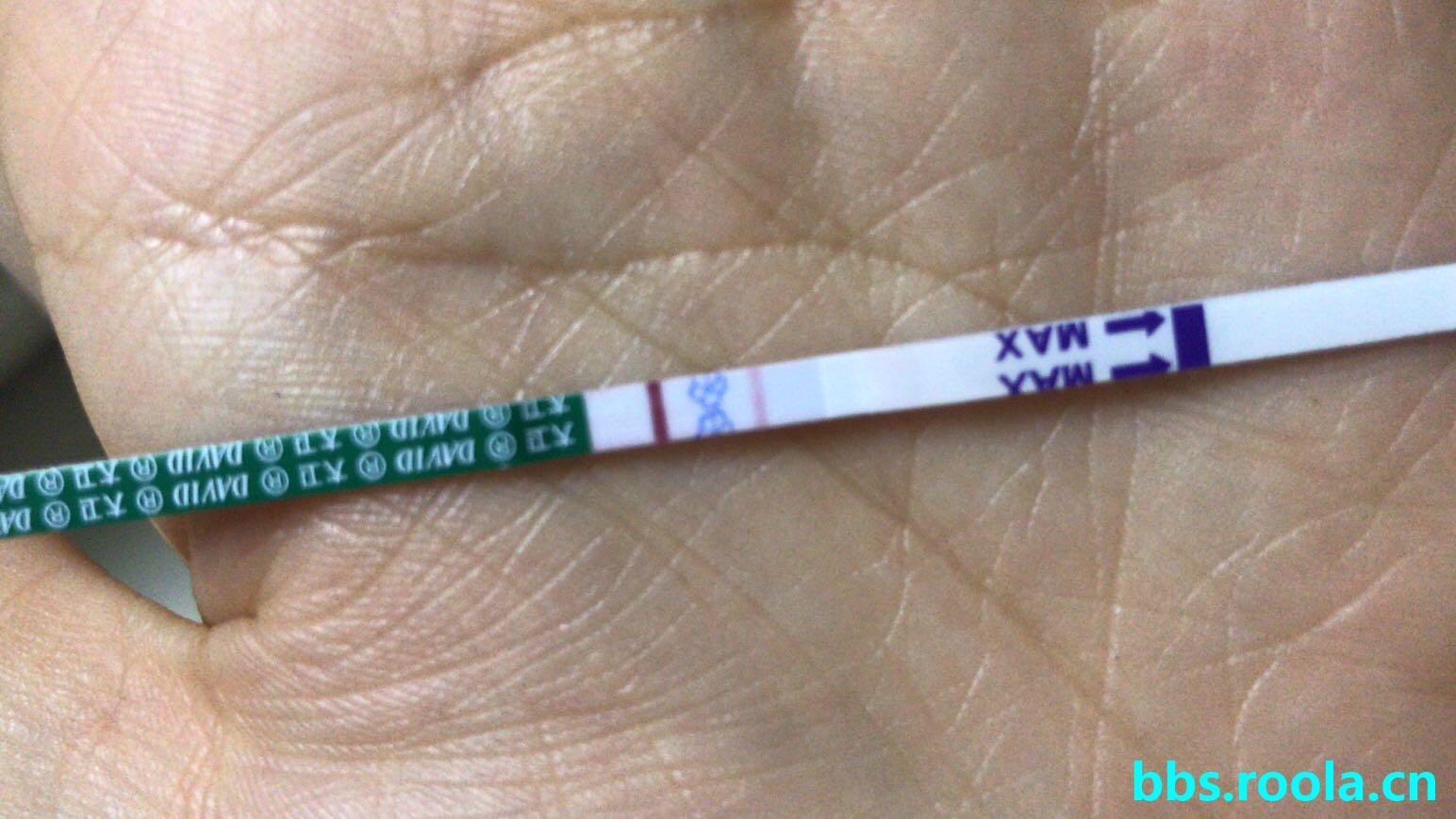 6944.jpg