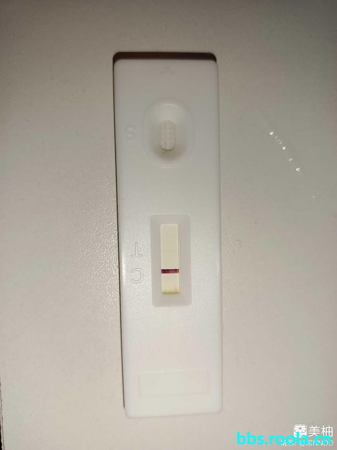 6950.jpg
