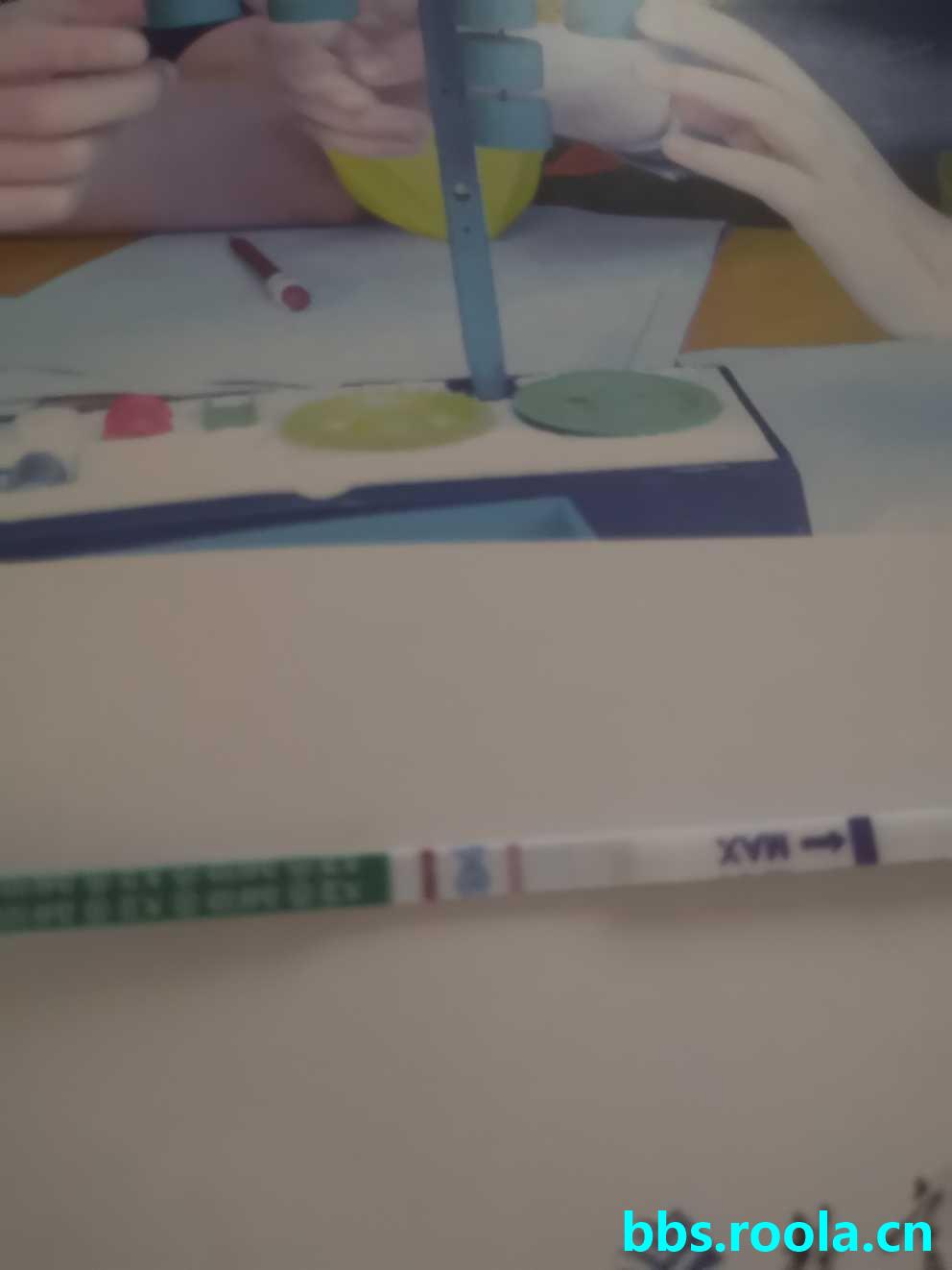5484.jpg