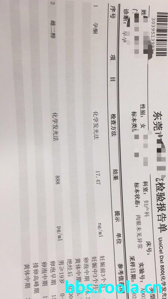 5505.jpg