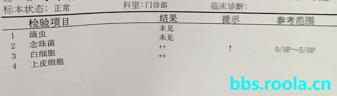 5531.jpg