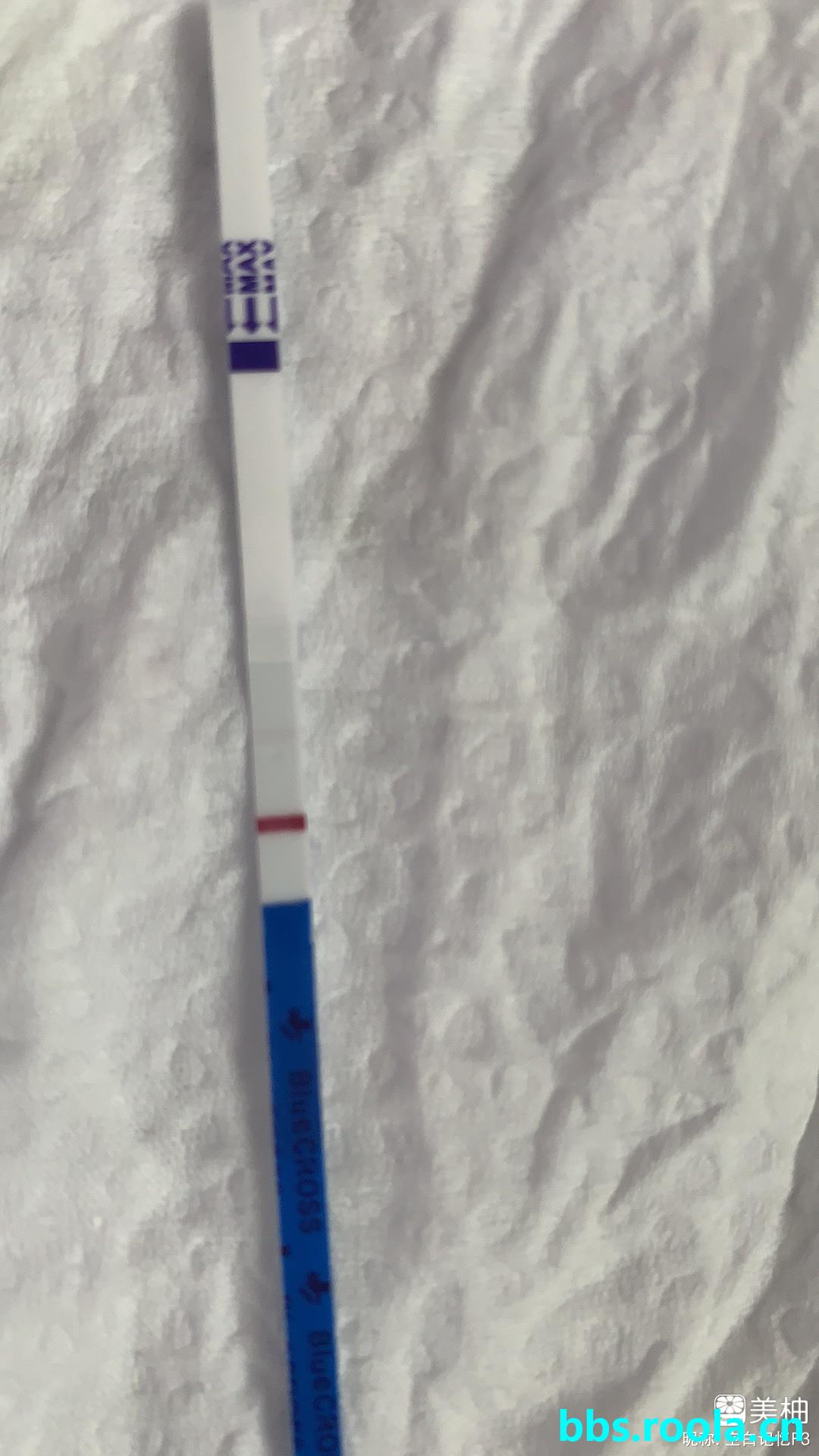 7323.jpg